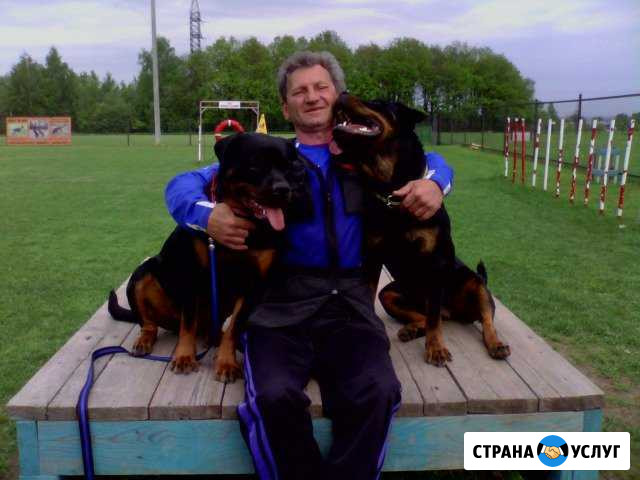 Дрессировка собак в зао. Кинолог Москва - изображение 1