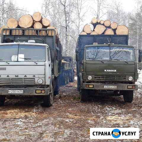 Услуги лесовоза Красноярск - изображение 1