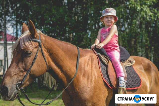 Верхововая езда Ижевск - изображение 1
