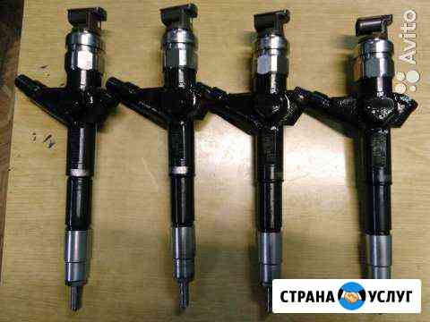 Ремонт дизельных форсунок common rail и тнвд Северск