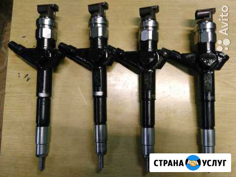 Ремонт дизельных форсунок common rail и тнвд Северск - изображение 1