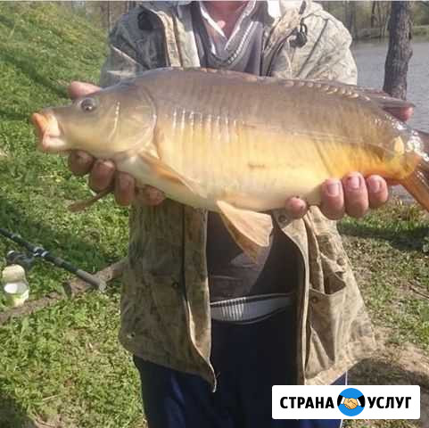 Рыбалка в Тарусе Серпухов - изображение 1