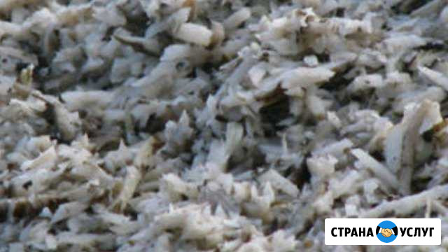Жом свекольный и отходы кукурузы Тихорецк - изображение 1