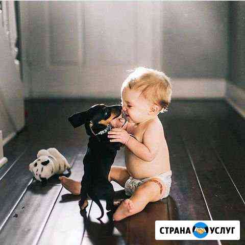 Предлагаю услуги няни Тюмень