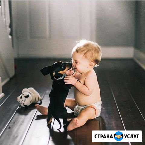 Предлагаю услуги няни Тюмень - изображение 1