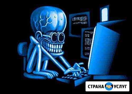 Интернет-магазин, CRM, настройка рекламы, SEO Санкт-Петербург