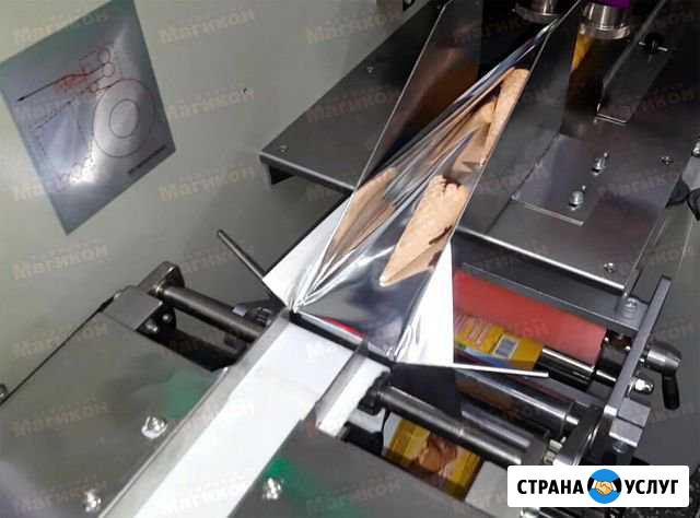 Диагностика фасовочно-упаковочного оборудования Москва - изображение 1
