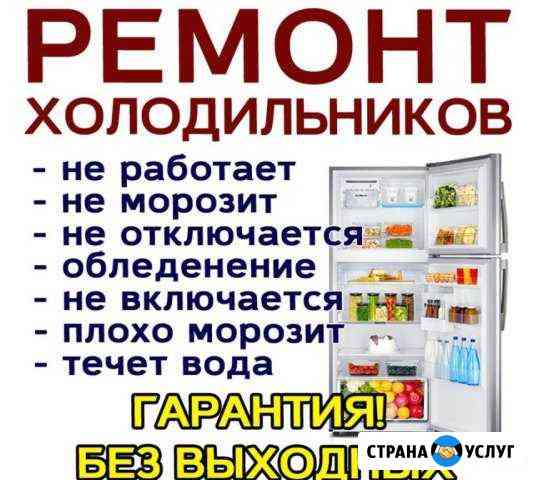 Ремонт холодильников Новозыбков и Район Новозыбков