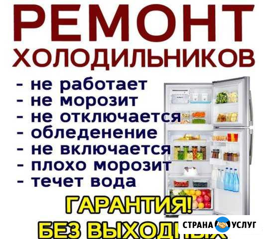Ремонт холодильников Новозыбков и Район Новозыбков - изображение 1