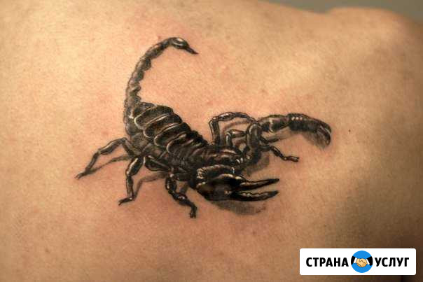 Татуировка художественная Обнинск - изображение 1