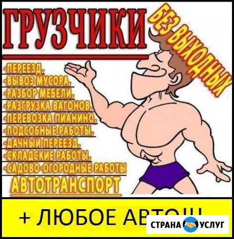 Грузчики в Рязани Рязань - изображение 1