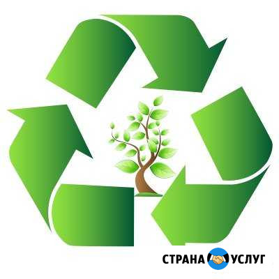 Примем макулатуру Иркутск - изображение 1