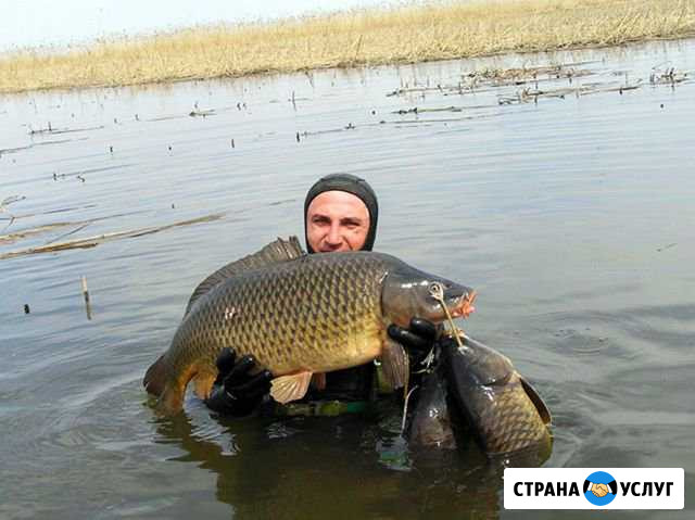 Рыбалка, Подводная охота, Отдых, Охота в дельте Во Камызяк - изображение 1