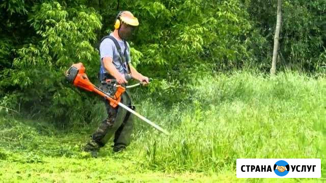 Покос травы Вольск - изображение 1