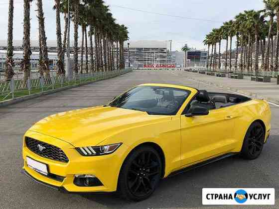 Аренда кабриолета Ford Mustang 2017 в Сочи и Адлер Сочи