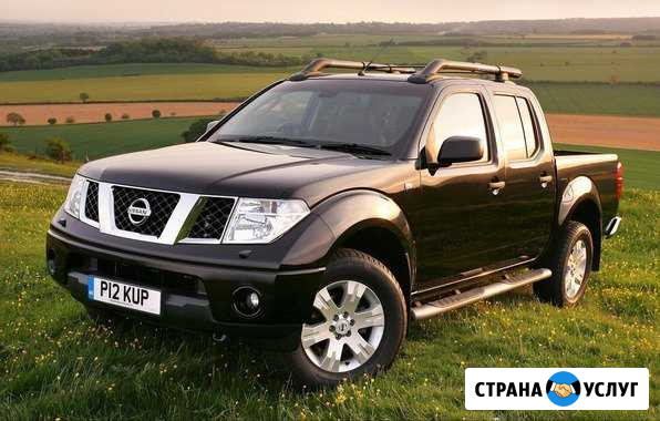 Чип тюнинг Nissan pathfinder/navara отключить EGR Санкт-Петербург - изображение 1