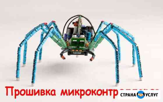 Прошивка микроконтроллеров, Биоса, и т. д Волгоград