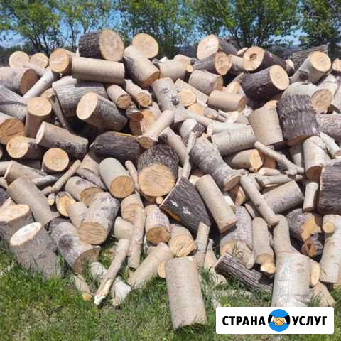 Дрова осиновые Лысково - изображение 1