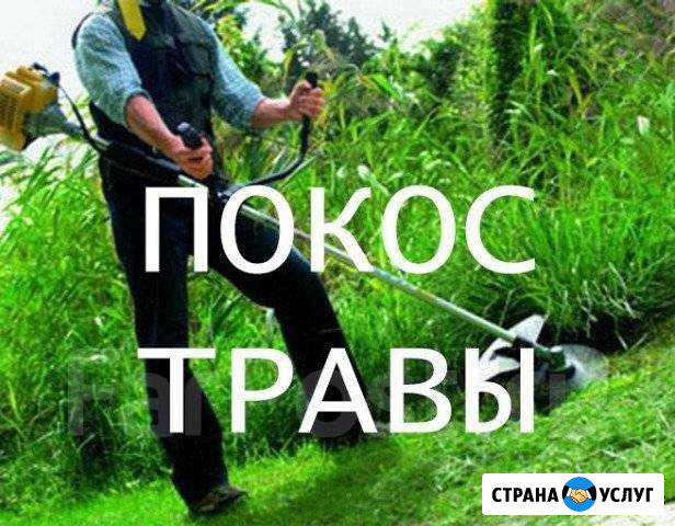 Покос травы Ковров - изображение 1
