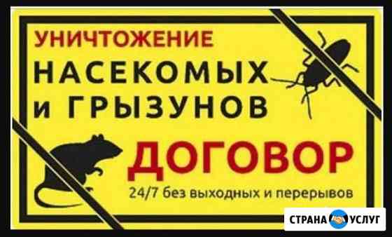 Уничтожение тараканов клопов клещей Анапа Анапа