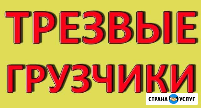 Грузчики Норильск - изображение 1