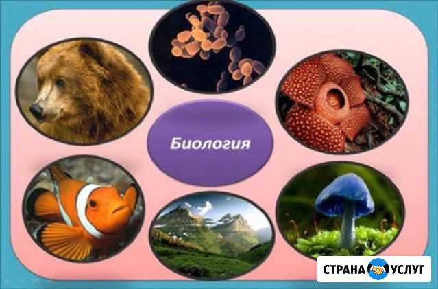 Репетитор по биологии Воронеж - изображение 1