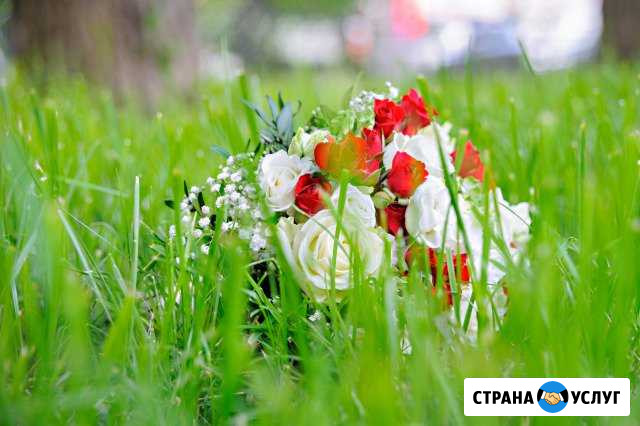 Фотограф Видеооператор Фотосъемка Видеосъемка Лобня - изображение 1