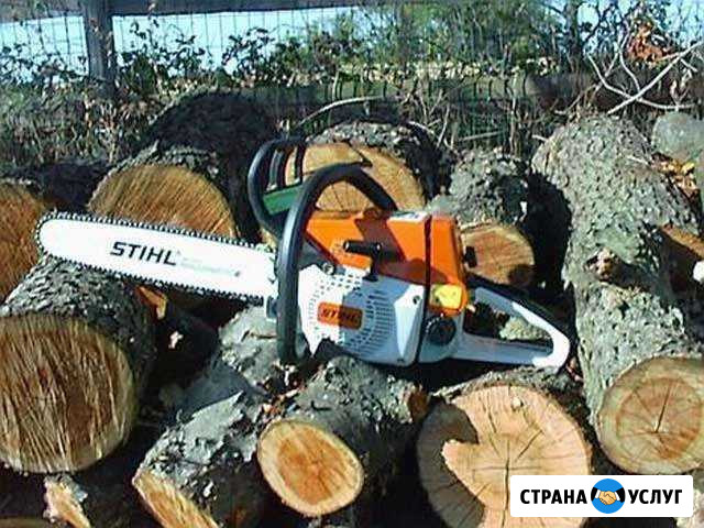 Спил деревьев Ливны - изображение 1
