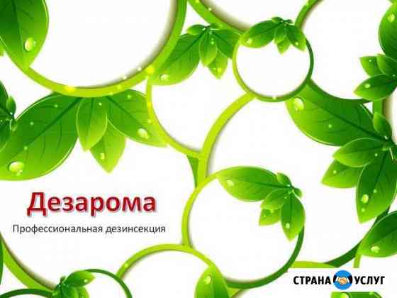 Уничтожение короедов, обработка коттеджей, сруб Казань