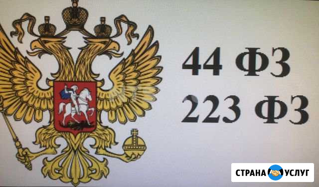 Обучение оформлению тендерной документации Михайловка - изображение 1