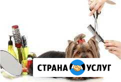 Стрижка животных Радужный - изображение 1