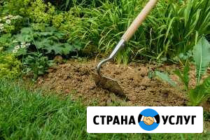 Садовые услуги.Пропалываю,вскапываю,убираю Ростов-на-Дону - изображение 1