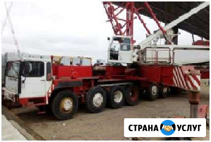 Сдаем в аренду спецтехнику Нижнекамск - изображение 1