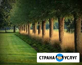 Покос травы, спил деревьев Краснодар - изображение 1