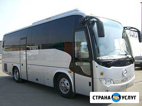 Заказ, аренда, развозка, экскурсии автобус Санкт-Петербург - изображение 1
