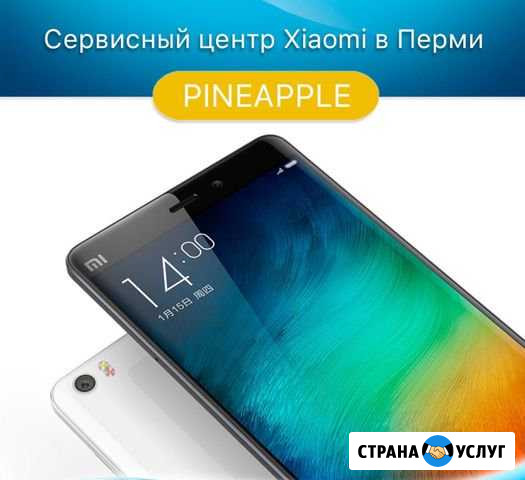 Ремонт Xiaomi Meizu SAMSUNG / pineapple Пермь - изображение 1