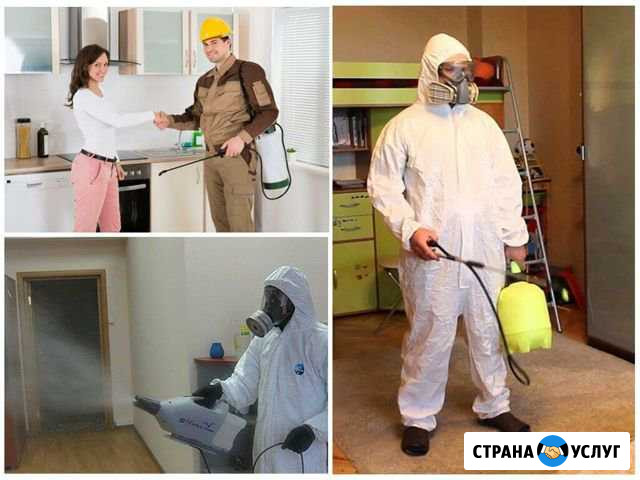 Дезинсекция.Уничтожение тараканов,клопов,блох Ульяновск - изображение 1