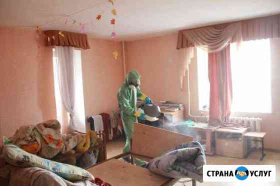 Избавиться от тараканов и клопов Уфа