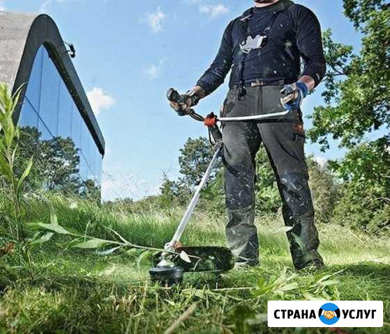 Покос газонов Клин - изображение 1