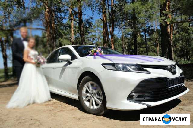 Аренда авто на свадьбу тойота камри в новом кузове Ишимбай - изображение 1