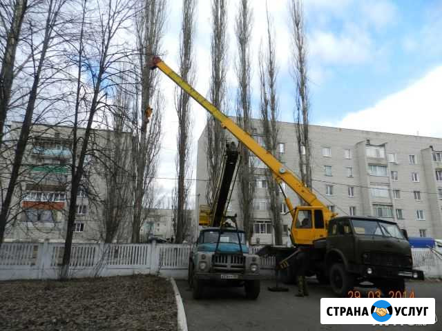 Услуги спецтехники, опиловка деревьев Первомайский - изображение 1