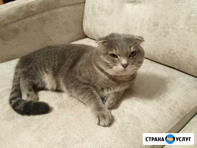 Вязка Йошкар-Ола - изображение 1