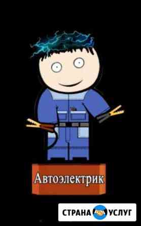 Автоэлектрик с выездом Петрозаводск