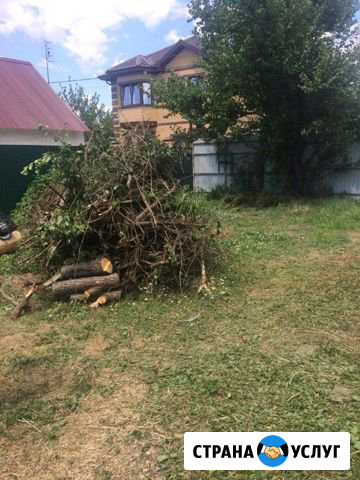 Уборка дачьных участков Краснодар - изображение 1