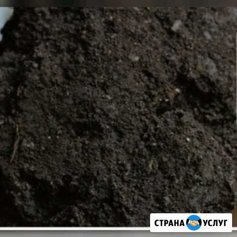 Чернозем, Перегной с доставкой Альметьевск - изображение 1