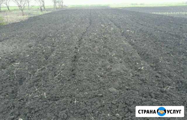 Вспашка, покос травы и спил деревьев Нальчик - изображение 1