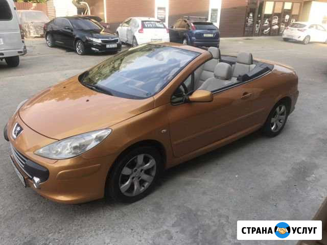 Прокат аренда авто Peugeot Audi Сочи - изображение 1