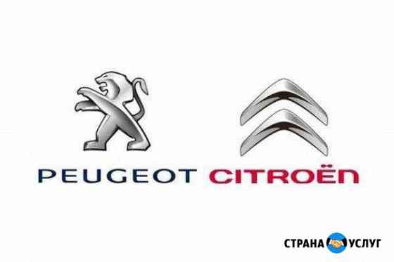 Компьютерная диагностика Peugeot и Citroen Брянск