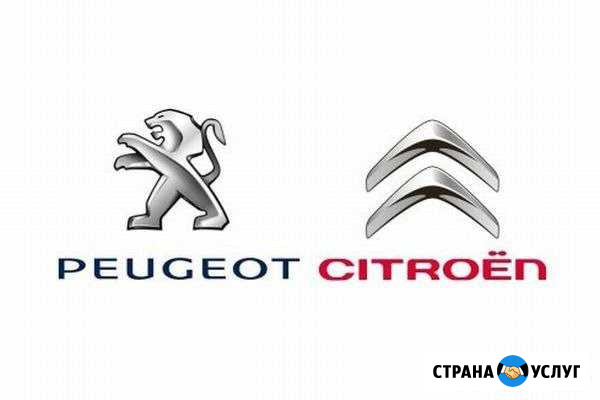 Компьютерная диагностика Peugeot и Citroen Брянск - изображение 1