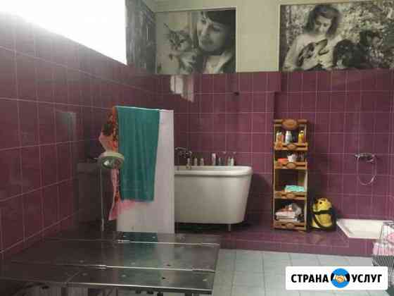 Передержка для животных Москва
